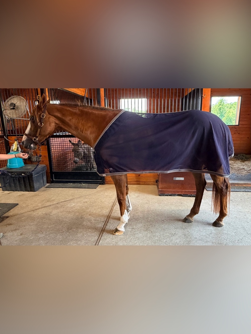 The Clothes Horse Custom Navy Blue/Gray  Show Skrim, 78” New- Retail $450